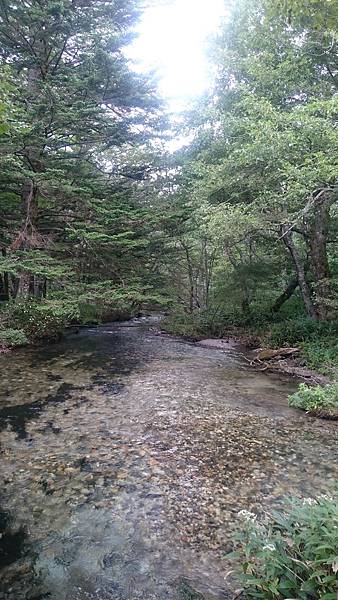 DSC_0191.JPG DSC_0191.JPG