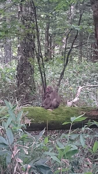 DSC_0203.JPG DSC_0203.JPG