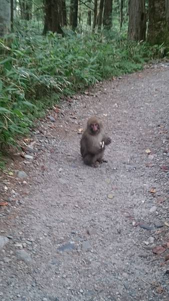 DSC_0206.JPG DSC_0206.JPG