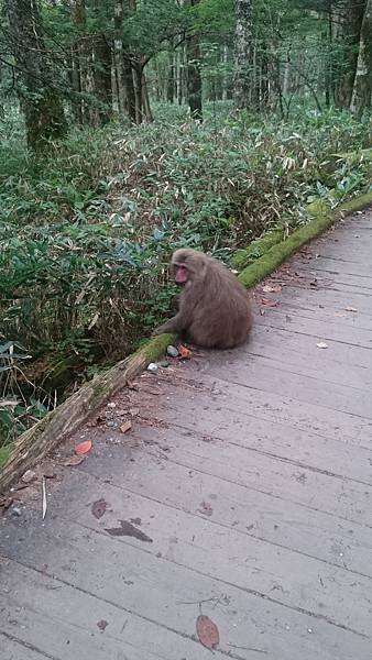 DSC_0207.JPG DSC_0207.JPG