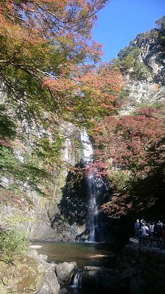 DSC_0046_4.JPG DSC_0046_4.JPG