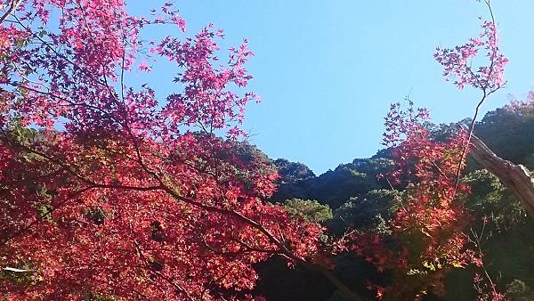 DSC_0017.JPG DSC_0017.JPG