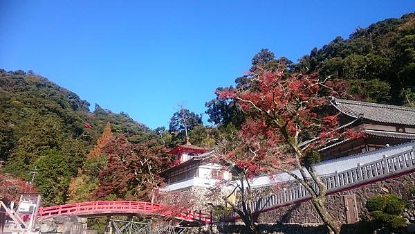 DSC_0011_8.JPG DSC_0011_8.JPG