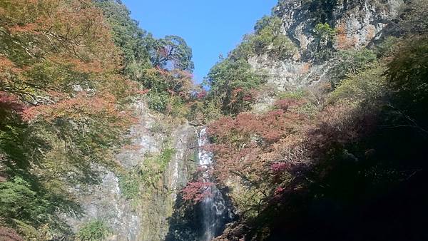 DSC_0041_1.JPG DSC_0041_1.JPG