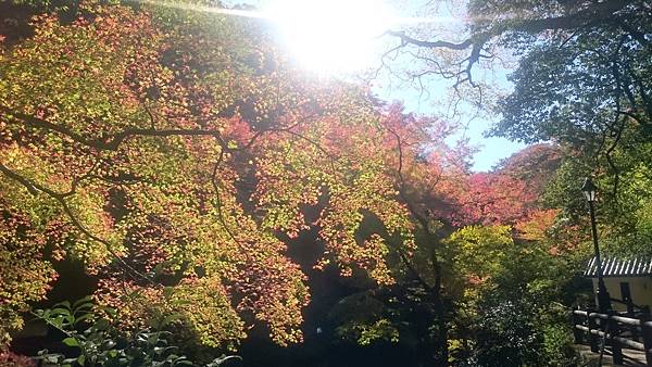 DSC_0045_15.JPG DSC_0045_15.JPG