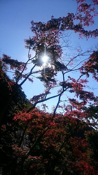 DSC_0056_14.JPG DSC_0056_14.JPG