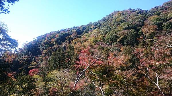 DSC_0059_16.JPG DSC_0059_16.JPG