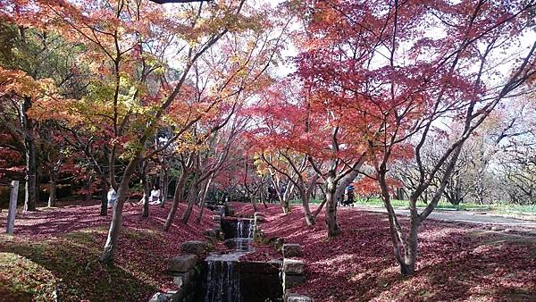 DSC_0003.JPG DSC_0003.JPG