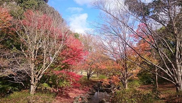 DSC_0014.JPG DSC_0014.JPG