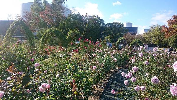 DSC_0082.JPG DSC_0082.JPG