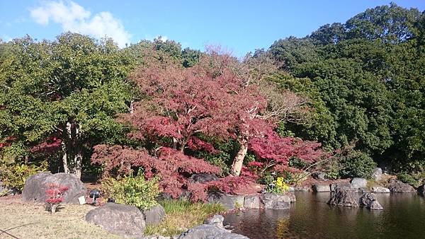 DSC_0102.JPG DSC_0102.JPG