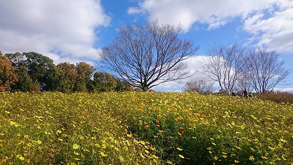 DSC_0044.JPG DSC_0044.JPG