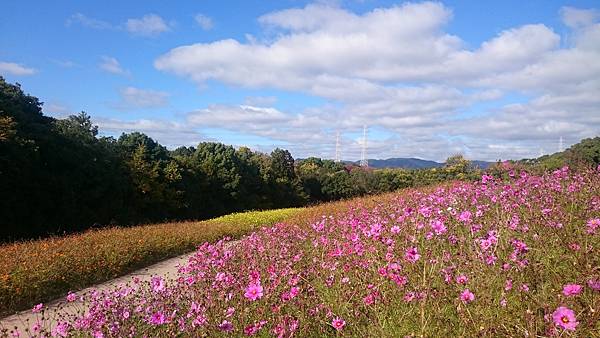 DSC_0037.JPG DSC_0037.JPG