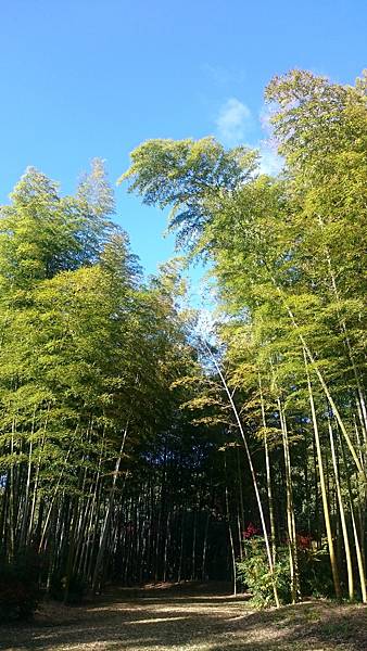 DSC_0099.JPG DSC_0099.JPG