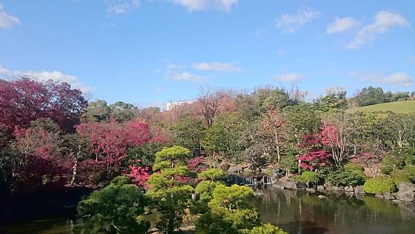 DSC_0087.JPG DSC_0087.JPG