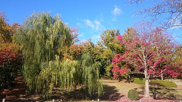 DSC_0144.JPG DSC_0144.JPG