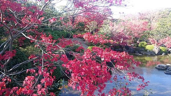 DSC_0088.JPG DSC_0088.JPG