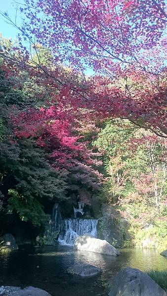 DSC_0109.JPG DSC_0109.JPG