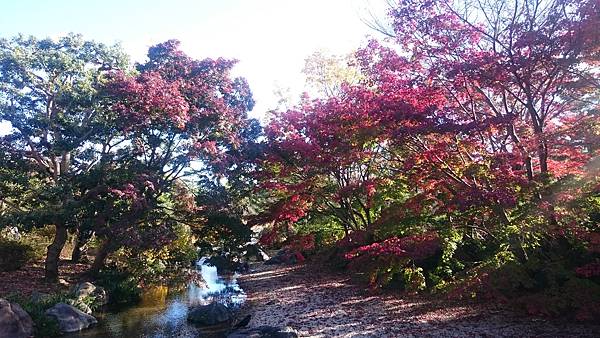 DSC_0136.JPG DSC_0136.JPG