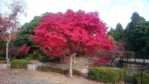 DSC_1302.JPG DSC_1302.JPG