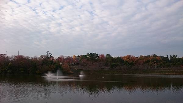 DSC_1297.JPG DSC_1297.JPG