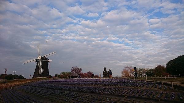 DSC_1312.JPG DSC_1312.JPG