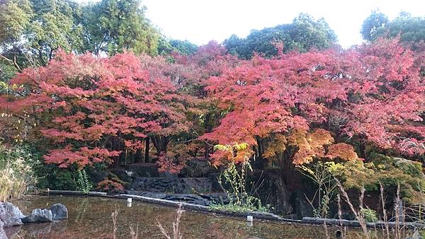 DSC_1309.JPG DSC_1309.JPG