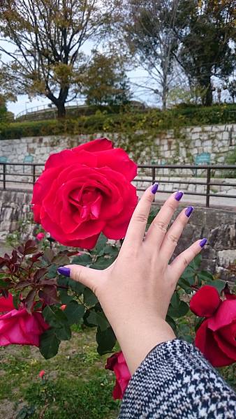 DSC_1321.JPG DSC_1321.JPG