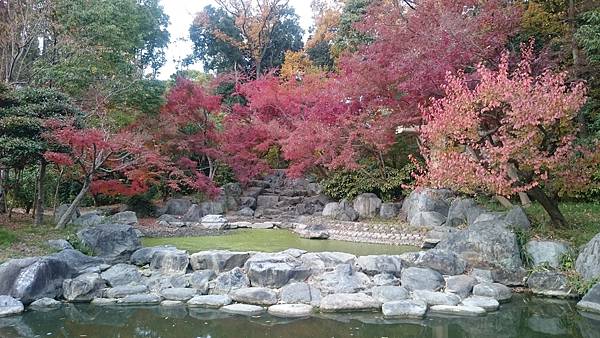 DSC_1323.JPG DSC_1323.JPG