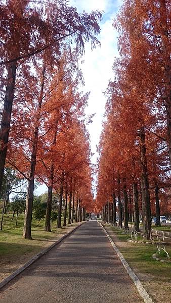 DSC_1293.JPG DSC_1293.JPG