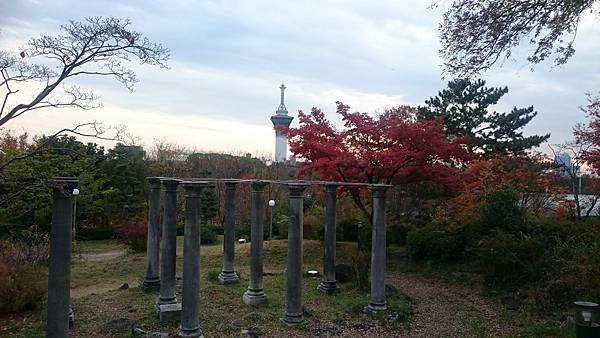 DSC_1355.JPG DSC_1355.JPG