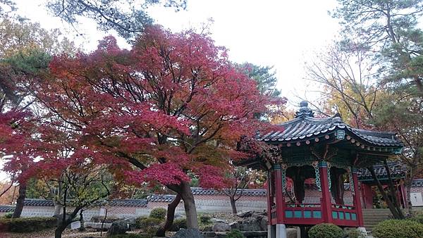 DSC_1332.JPG DSC_1332.JPG