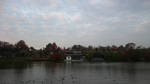 DSC_1359.JPG DSC_1359.JPG