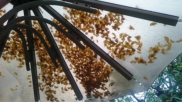 DSC_1352.JPG DSC_1352.JPG