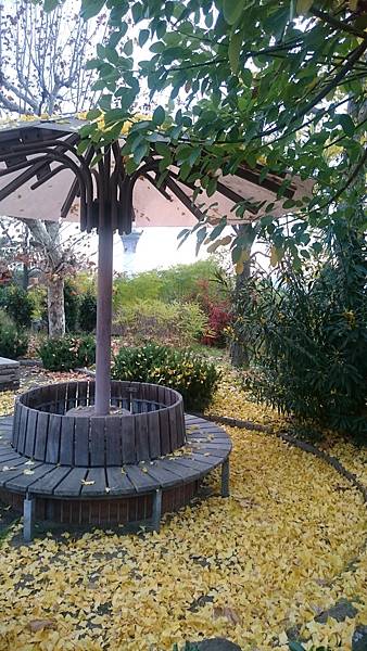 DSC_1346.JPG DSC_1346.JPG