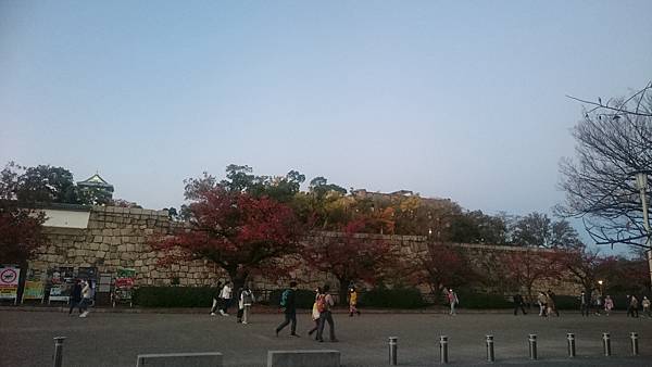 DSC_0187_2.JPG DSC_0187_2.JPG