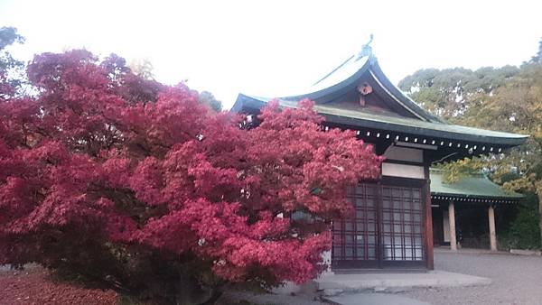 DSC_0189_1.JPG DSC_0189_1.JPG