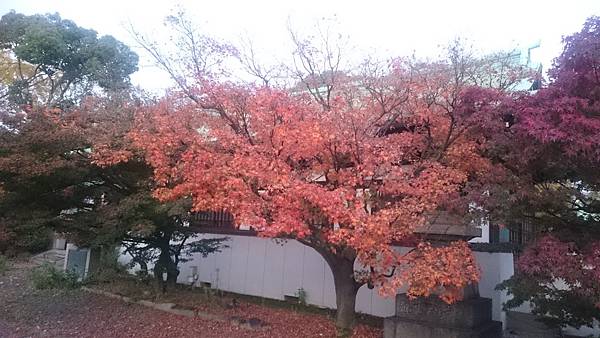 DSC_0188_4.JPG DSC_0188_4.JPG