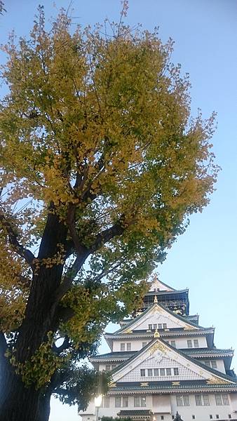 DSC_0175_3.JPG DSC_0175_3.JPG