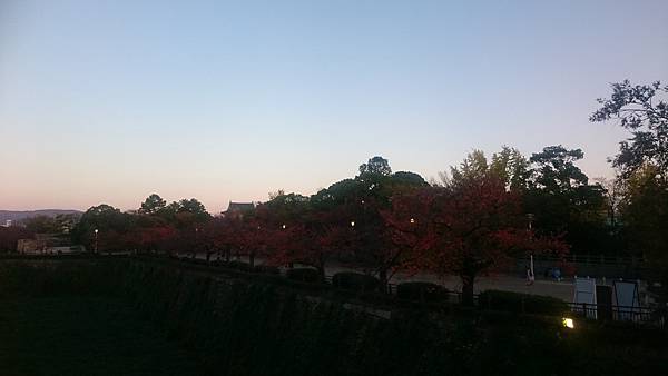 DSC_0167.JPG DSC_0167.JPG