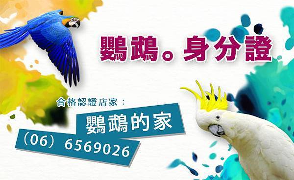 鸚鵡身分證,鸚鵡認證 鸚鵡身分證,鸚鵡認證