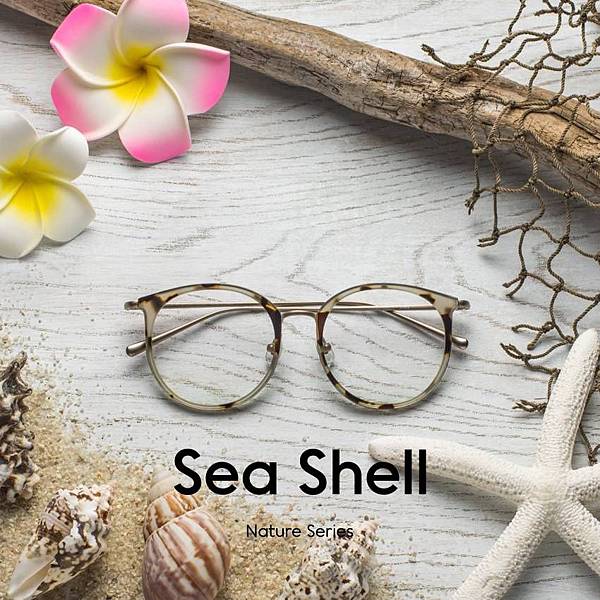 sea shell.jpg sea shell.jpg