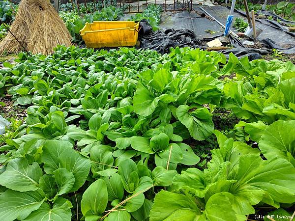 【開箱】爸爸最滿意的禮物SHARP AQUOS sense9 【開箱】爸爸最滿意的禮物SHARP AQUOS sense9