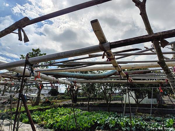 【開箱】爸爸最滿意的禮物SHARP AQUOS sense9 【開箱】爸爸最滿意的禮物SHARP AQUOS sense9