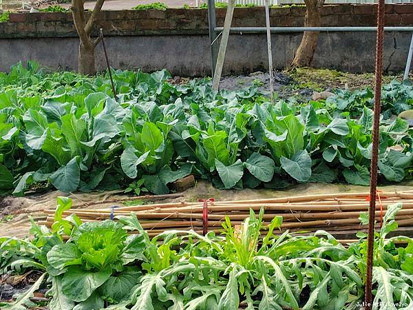 【開箱】爸爸最滿意的禮物SHARP AQUOS sense9 【開箱】爸爸最滿意的禮物SHARP AQUOS sense9