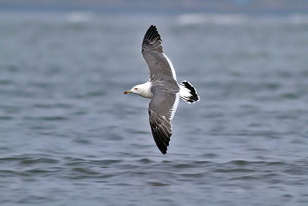 8719485045_20d8ea038b_b