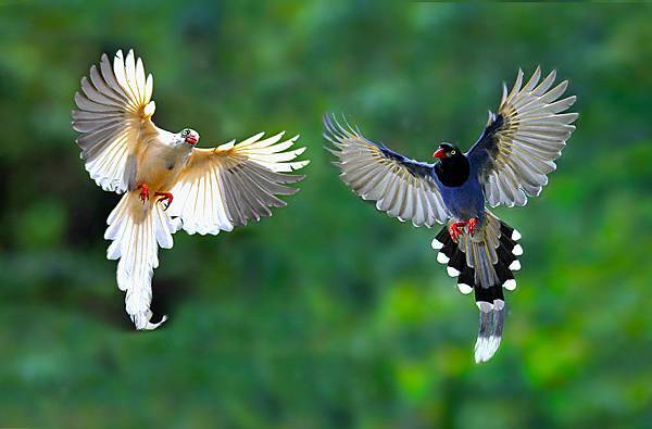 zRS9e7zW2TaNoultBfwnEw