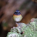 IMG_3456.jpg