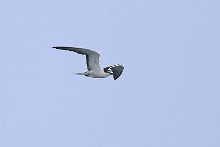 IMG_3401.jpg IMG_3401.jpg