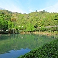 012A8281.JPG